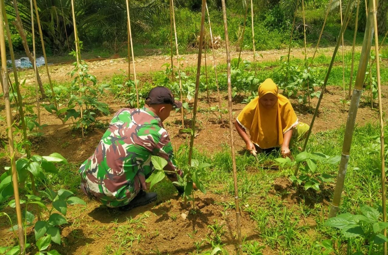 Kegiatan Pendampingan Terhadap Kebun Kacang Panjang Milik Ibu Yuni, Jumat (27/05/2022), (Foto: V24/AL)