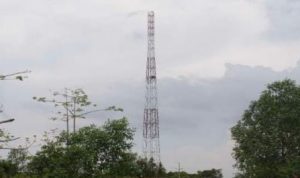 Bupati Meminta Kepada Kominfo Rohil Agar Pelayanan Telekomunikasi Berjalan, Selasa (31/05/2022), (Foto: V24/AL)