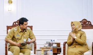 Gubsu serahkan SK Plt Bupati Langkat (4).jpg